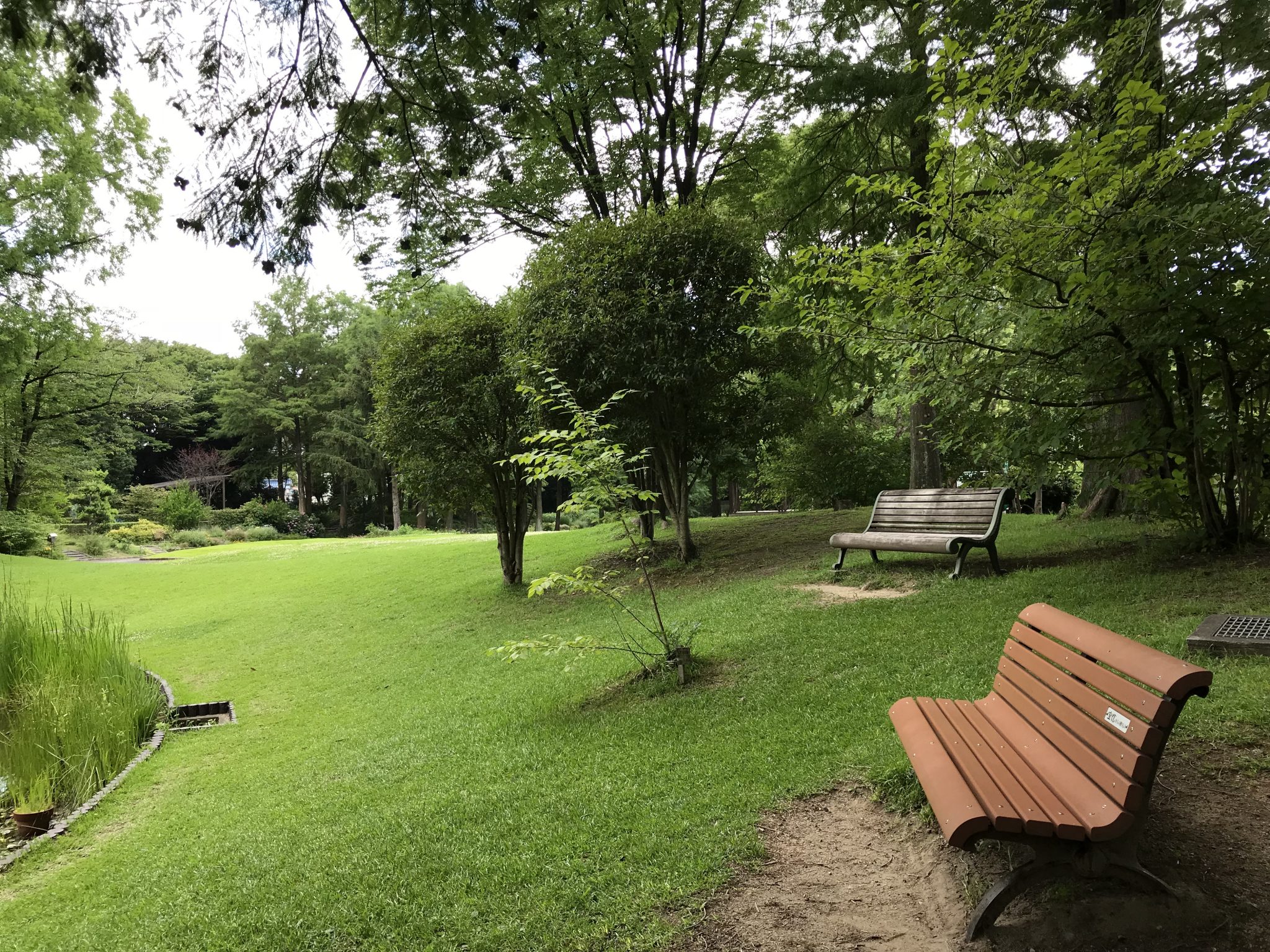 夏季休暇のお知らせ